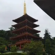 みすいすみの画像