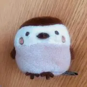 コロンの画像