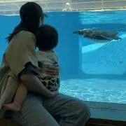 momoの画像