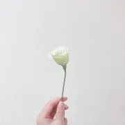 あかね