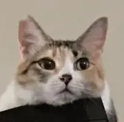 トマト