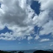 みかん