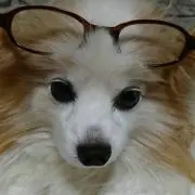 はるみん