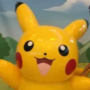 ピカの画像