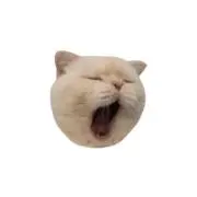 ひきだしの画像