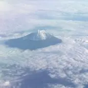 ゆうゆうの画像