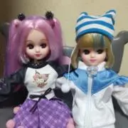 koyuの画像