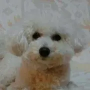 parcy