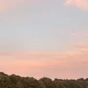(*^^*)の画像