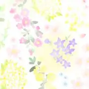 ハルヒ