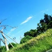 るぅーmamaっʚ◡̈⃝ɞ