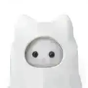 Bの画像