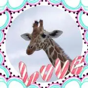 サトミ