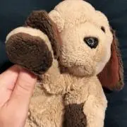 ★Minoの画像