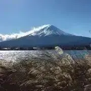 Cheetah100の画像