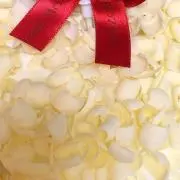 ☆sou☆