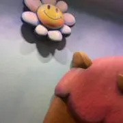 canの画像