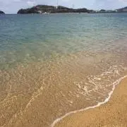 えりんぎ
