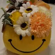 NNの画像