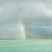 rabiの画像