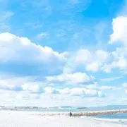 蒼の画像