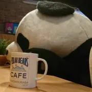 よんの画像