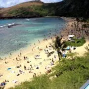 Hanaumaの画像