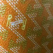 鮭虎の画像