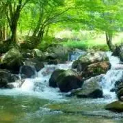 taira28の画像