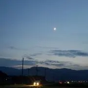 ニコの画像