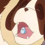 わんこ