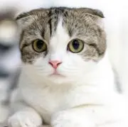 ゆうの画像