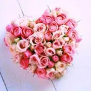 ♡4mam♡