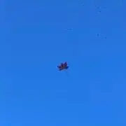 こじろう