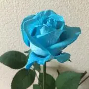 なつ★