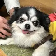 jamiro プロフ必読の画像