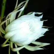 みんとママの画像