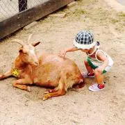 Momotaroの画像