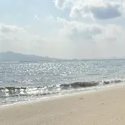 ユーカリの画像