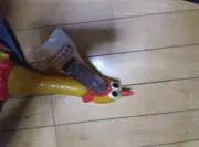 しょーたー