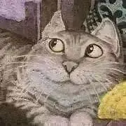 ぴぽちやんの画像