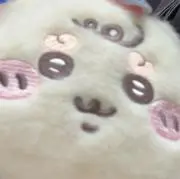 めんつー 断捨離中 プロフの画像
