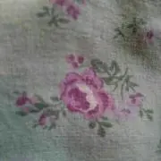 ピア