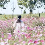 sakiの画像