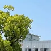 LEOの画像