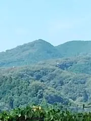 ちーの画像