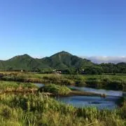 Ribaの画像