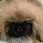 wevy.Tの画像