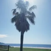 みみの画像