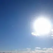 ポロっちよ